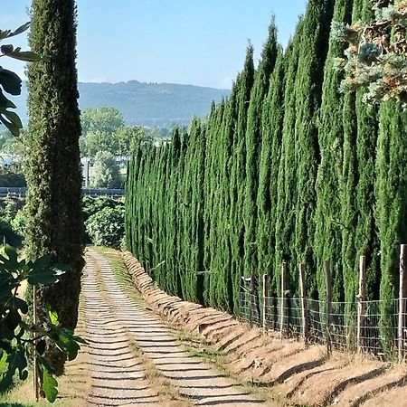 拉波拉诺泰尔梅Camugnano Farm别墅 外观 照片