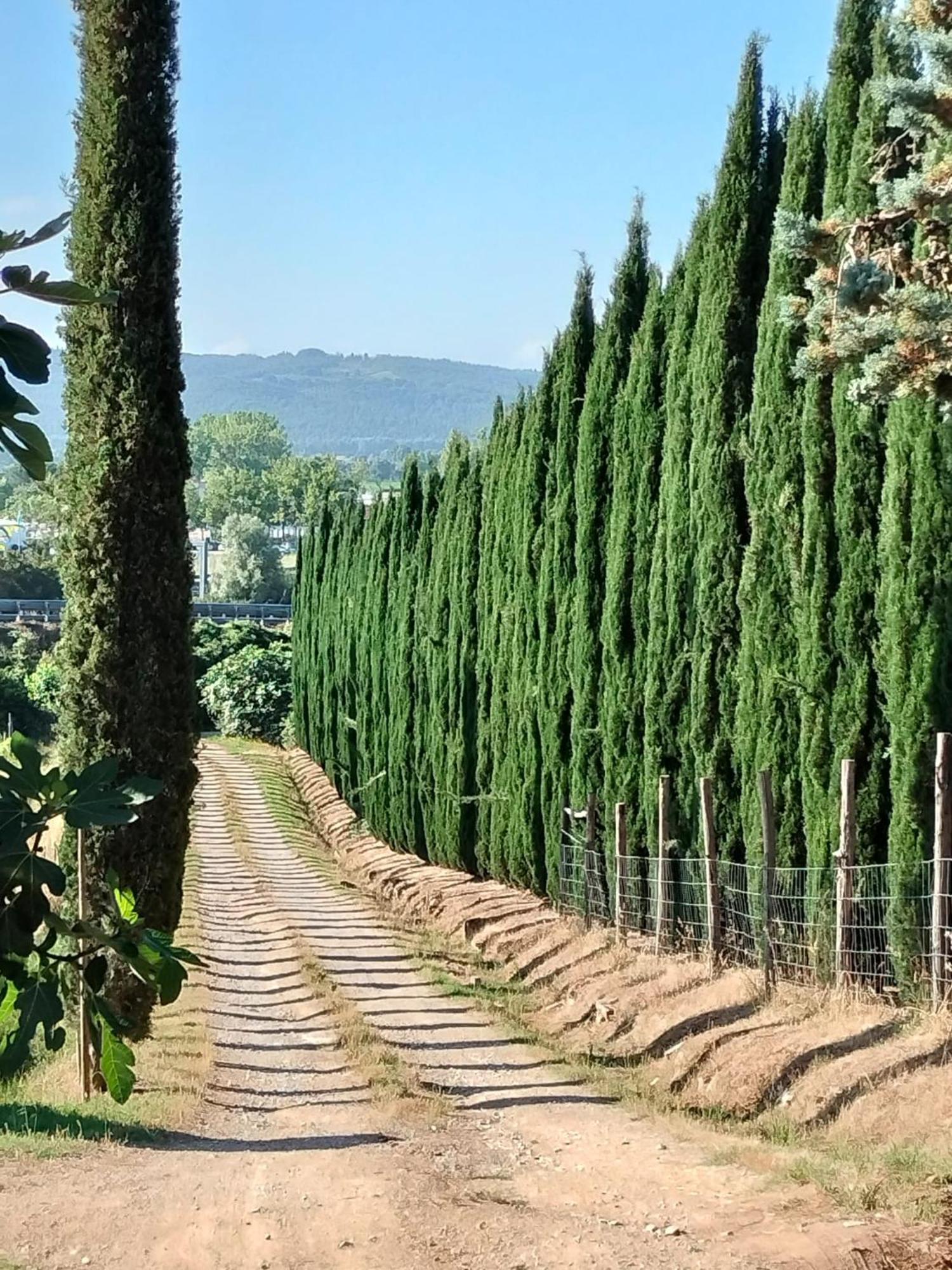 拉波拉诺泰尔梅Camugnano Farm别墅 外观 照片
